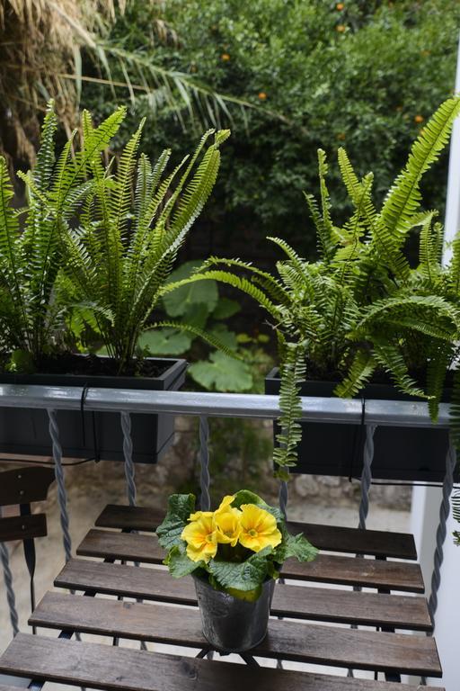 Your "Home Away From Home" In Acropolis Athènes Extérieur photo